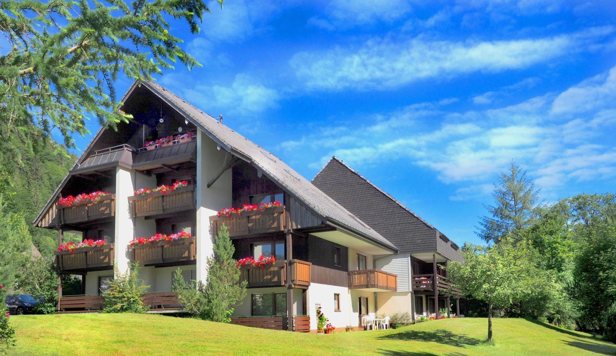Naturidyll Am Fluss - Ferienhaus Albmatte - Grosser Garten Zum Grillen Und Entspannen-Direkt Neben Dem Radon Revitalbad Mit Sauna Und Thermalbecken St. Blasien Exterior photo